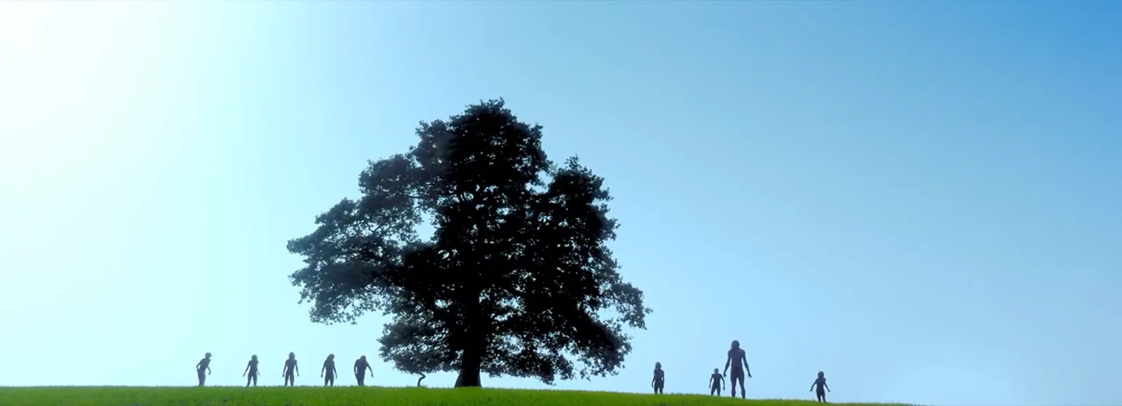 A misty rural landscape from 28 Years Later
