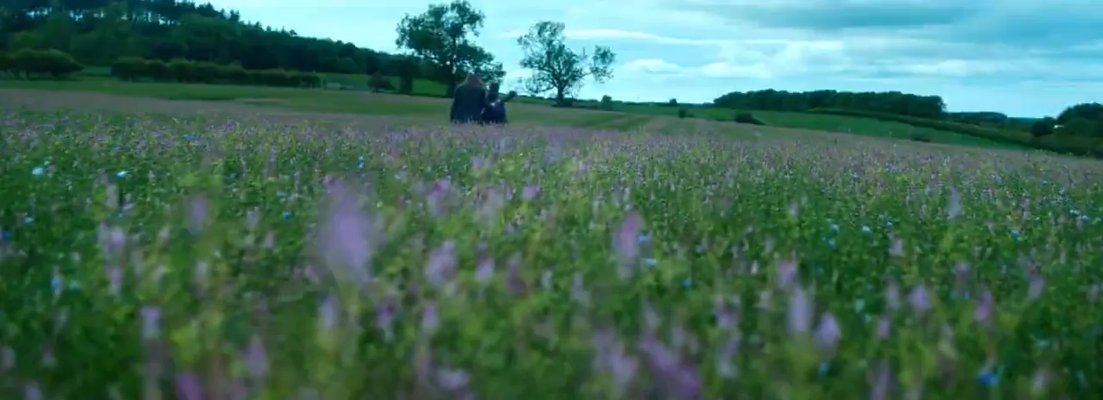 A wildflower meadow at dusk with a distant figure on the horizon