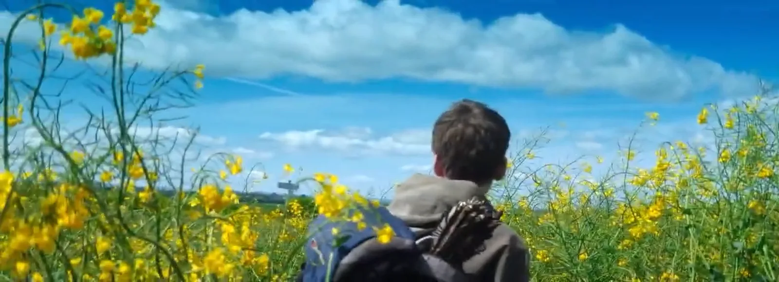 Spike standing in a field of yellow rapeseed flowers, looking out towards the distant Angel of the North