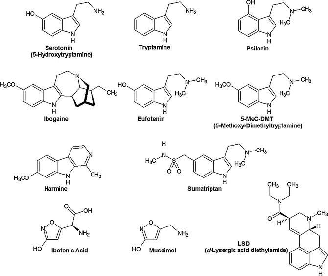 Indole ring structure