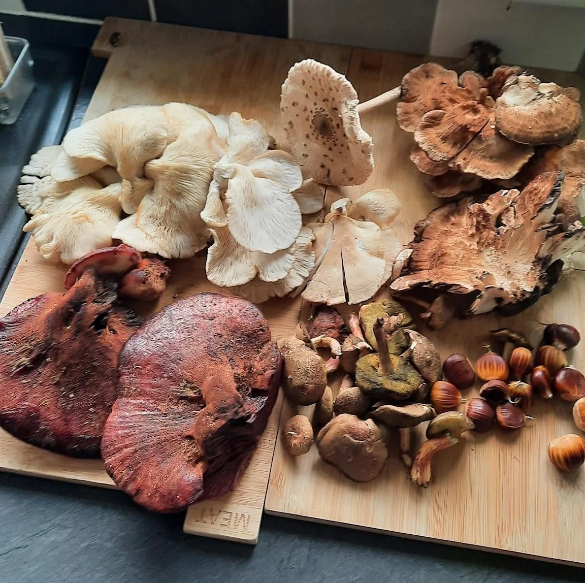 A wooden board laid out with beefsteak, oyster, parasol, blackening polypore and red cracking bolete mushrooms