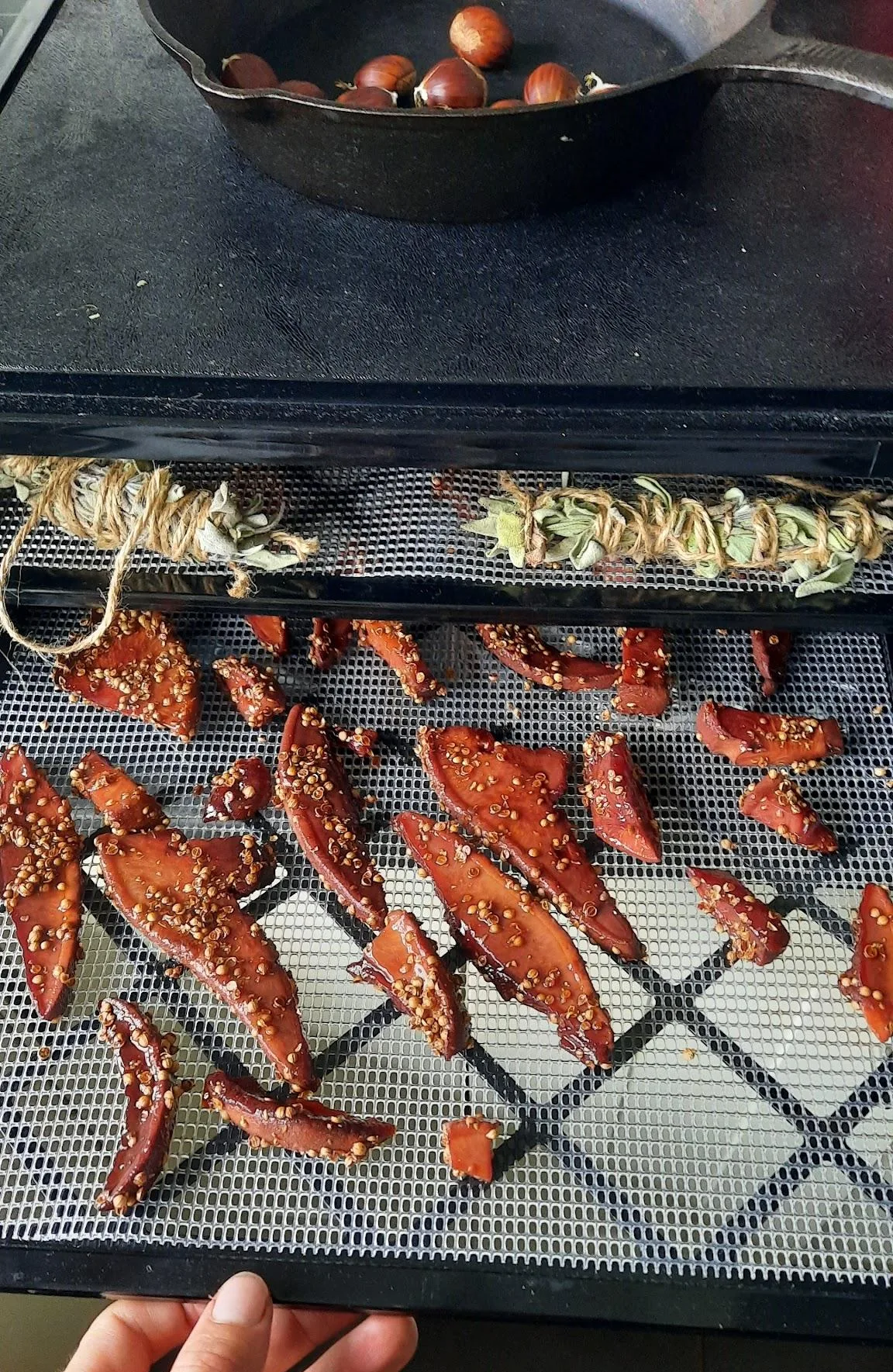 Spice-coated strips of beefsteak mushroom laid out on a dehydrator tray