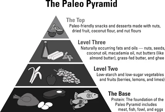 Diagram of the Paleo Pyramid, with protein at the base and paleo-friendly snacks at the top