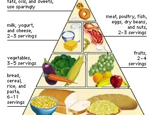 The traditional food pyramid with bread, cereal and rice at the base and fats and sweets at the top