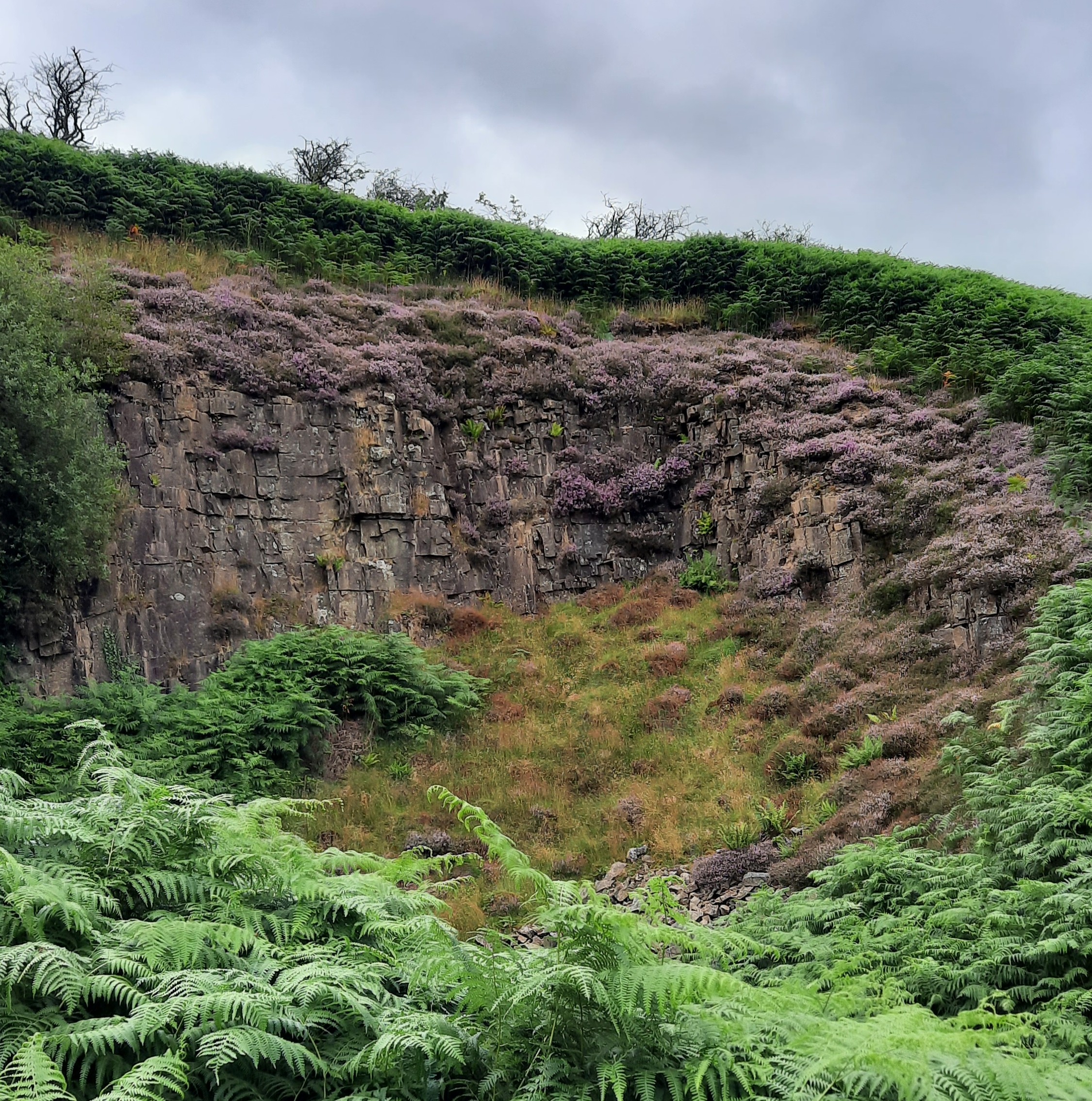 Locating heather on a mountainside