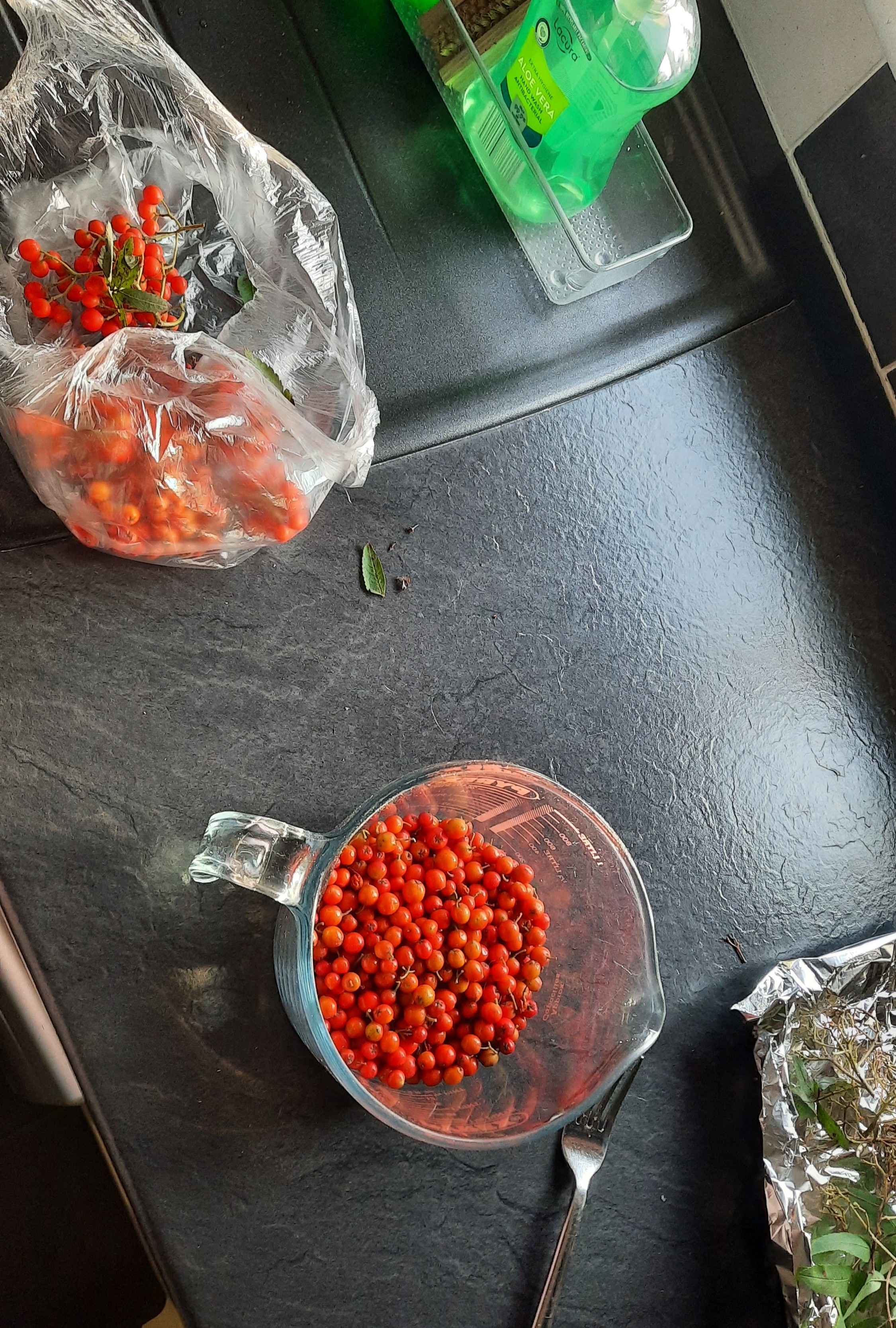 Mountain Ash berries ready for freezing