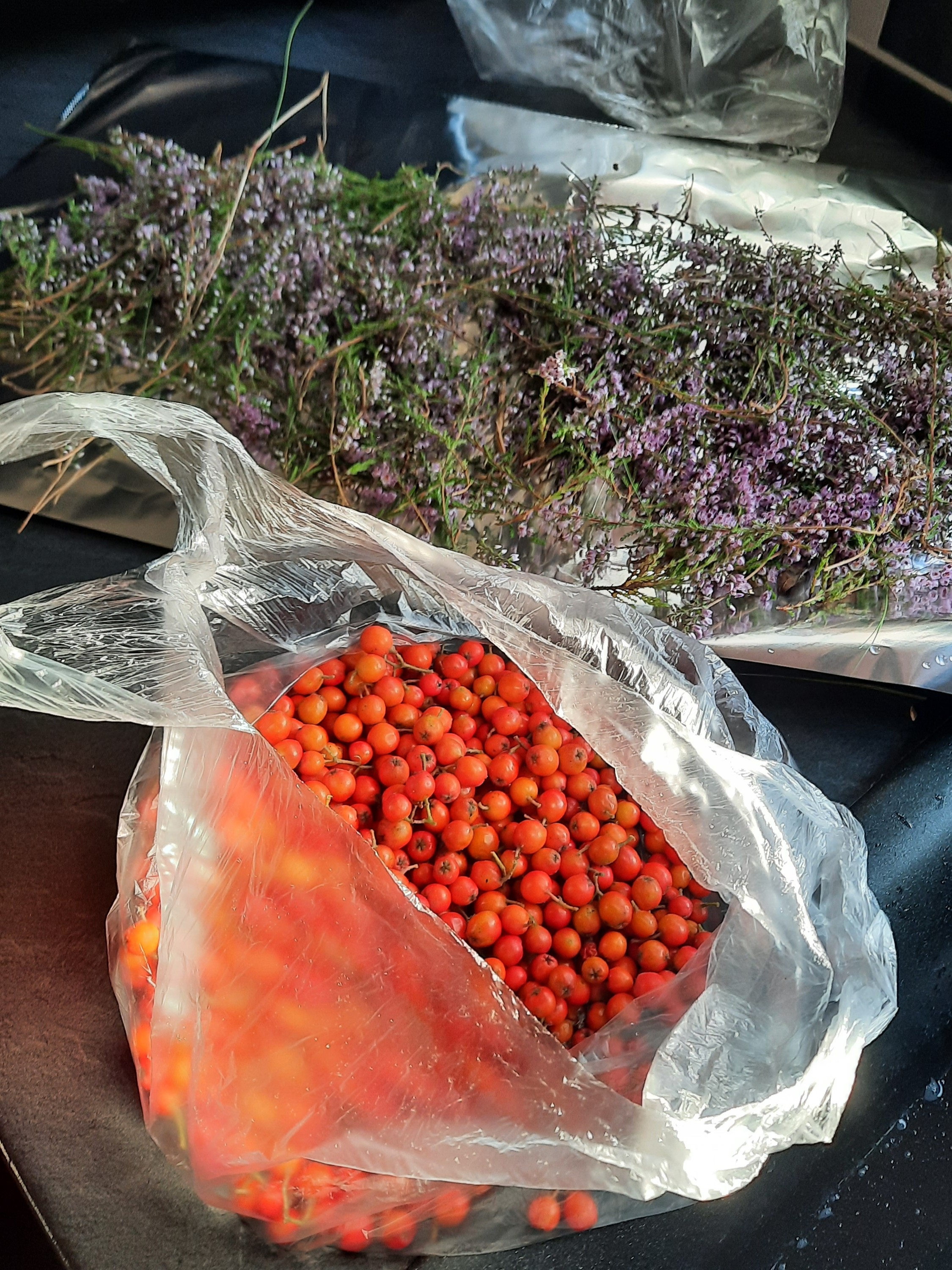 Heather flowers and Mountain Ash berries