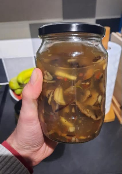 A jar of fermenting mushroom broth