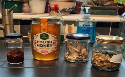 Wild yeast starter, single source honey, dried birch polypore, and hogweed seeds